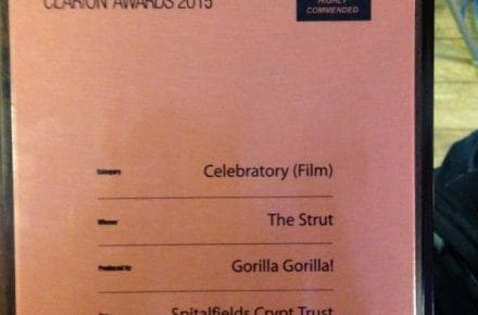 SCT film wins award!