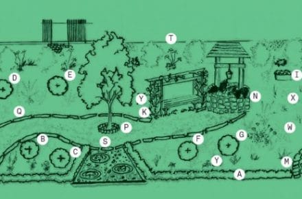 SCT’s Garden Naming Competition