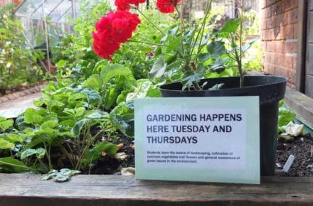 New Hanbury wins bronze in Hackney Bloom!